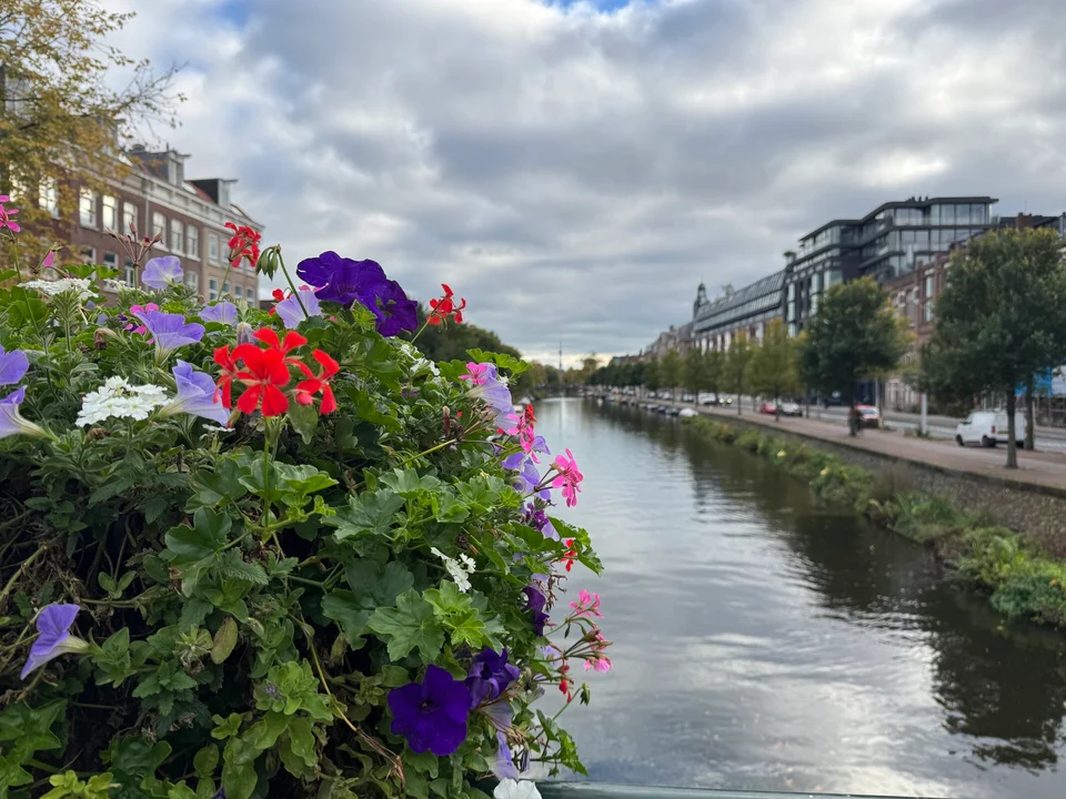 City Canal with Flowers
